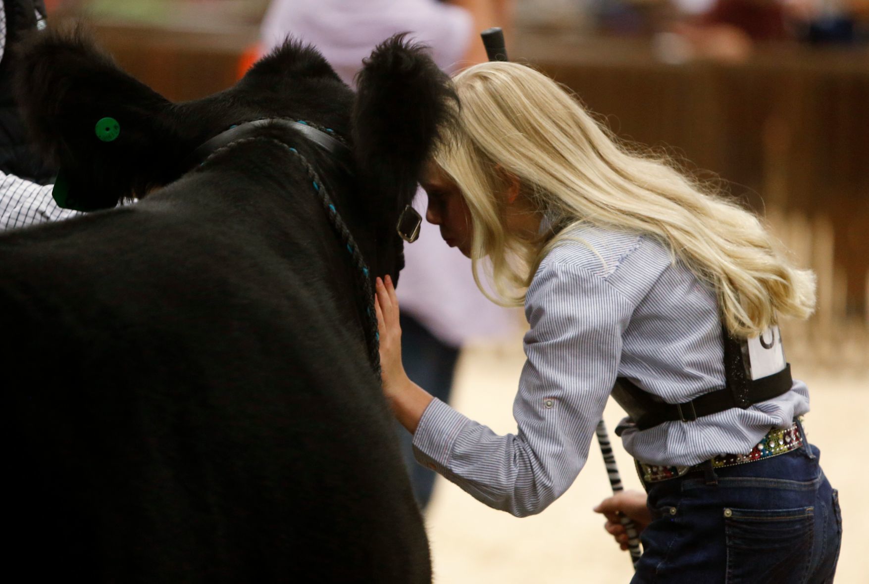 Kate Anderson of the Shepherd Wranglers